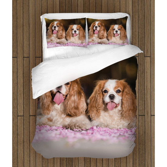 Povlečení - King Charles Spaniel