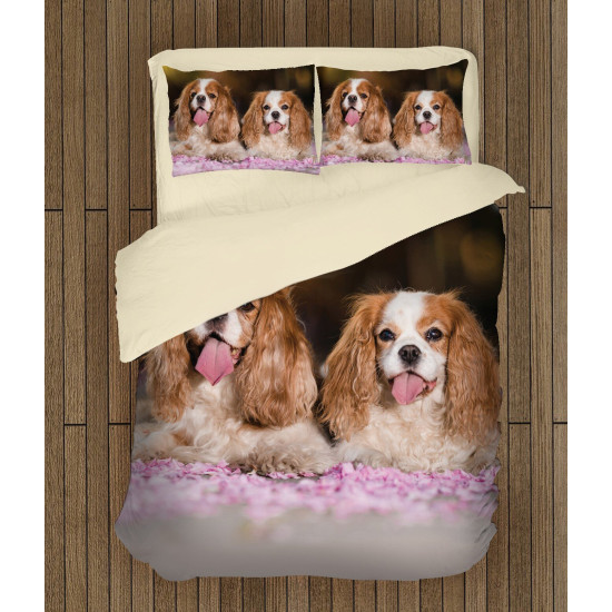 Povlečení - King Charles Spaniel