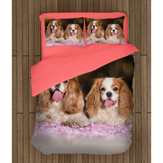 Povlečení - King Charles Spaniel