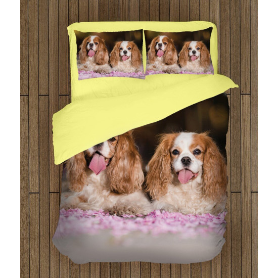 Povlečení - King Charles Spaniel