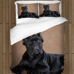 Povlečení pes - Cane Corso