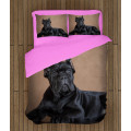 Povlečení pes - Cane Corso