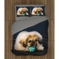 Povlečení pejsci - Pekingese