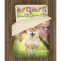 Povlečení na postel - Shiba Inu