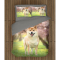 Povlečení na postel - Shiba Inu