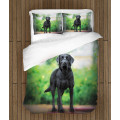 Ložní souprava - Black Labrador