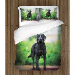 Ložní souprava - Black Labrador