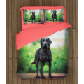 Ložní souprava - Black Labrador