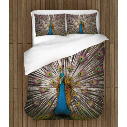 Ložní soupravy s přikrývkou - Peacock