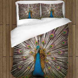 Ložní soupravy s přikrývkou - Peacock