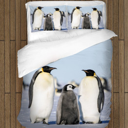 Ložní soupravy s přikrývkou - Pinguins