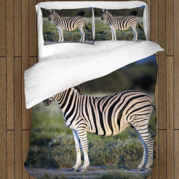 Povlečení s přikrývkou - Zebra