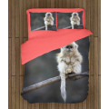 Ložní soupravy s přikrývkou - Monkey