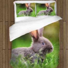 Povlečení s přikrývkou - Rabbit in the Grass