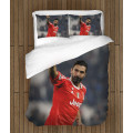 Povlečení s přikrývkou - Buffon