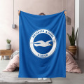 Kvalitni deka fotbal 3D - Brighton