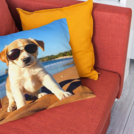Polštář 45x45 - Babydog
