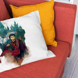 Polštář 45x45 - Harry Potter