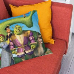 Polštář 45x45 - Shrek
