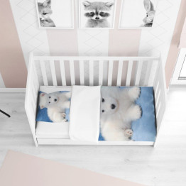 Přikrývka - Baby Samoyed