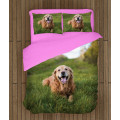 Povlečení s přikrývkou - Golden Retriever