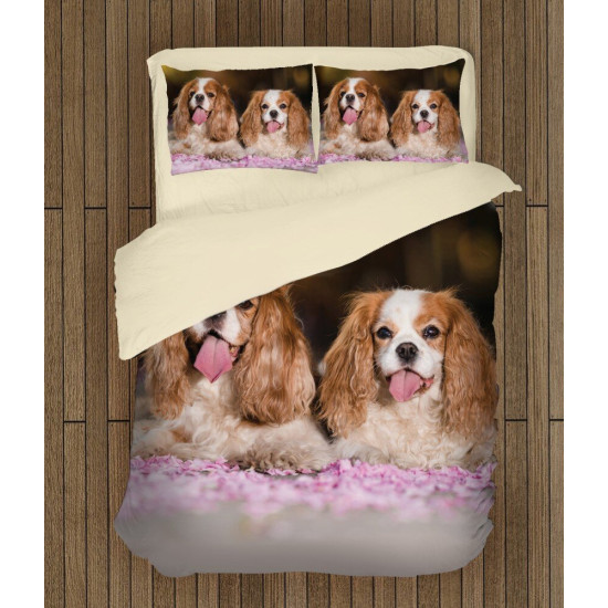 Povlečení s přikrývkou - King Charles Spaniel
