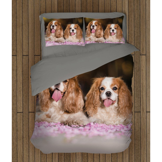Povlečení s přikrývkou - King Charles Spaniel