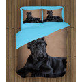 Ložní soupravy s přikrývkou - Cane Corso