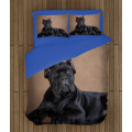 Ložní soupravy s přikrývkou - Cane Corso