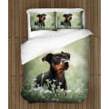 Ložní soupravy s přikrývkou - Pinscher