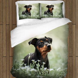 Ložní soupravy s přikrývkou - Pinscher