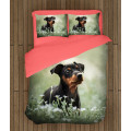 Ložní soupravy s přikrývkou - Pinscher