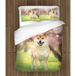 Povlečení s přikrývkou - Shiba Inu