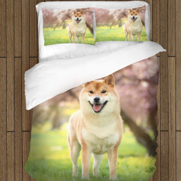 Povlečení s přikrývkou - Shiba Inu