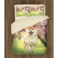 Povlečení s přikrývkou - Shiba Inu