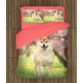 Povlečení s přikrývkou - Shiba Inu