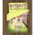 Povlečení s přikrývkou - Shiba Inu