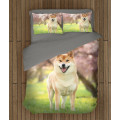 Povlečení s přikrývkou - Shiba Inu