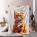 3D Deka Roztomilá oranžová kočka