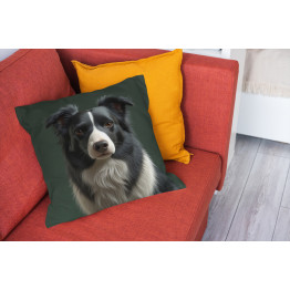 Dekorační polštář Border Collie