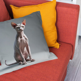 Polštář Kočka sphynx